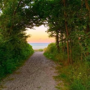 Meet your Posher, Dhalia